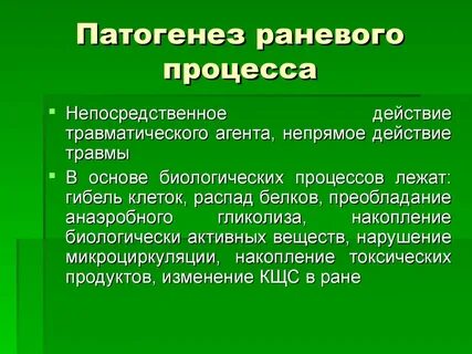 Рана фазы раневого процесса