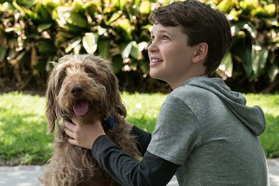 дуэйн джонсон круиз по джунглям. убойные каникулы - tucker and dale vs evil (2010). смешные комедии приключения. смешные комедии приключения. смешные комедии приключения.