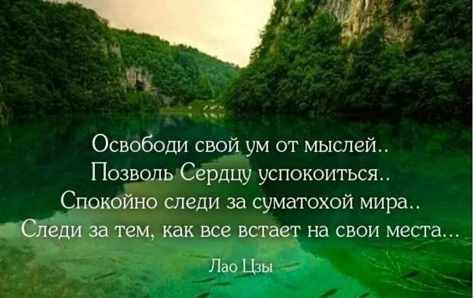 Высказывания о спокойствии. Фразы о красоте природы. Высказывания о природе. Мудрые мысли. Афоризм место