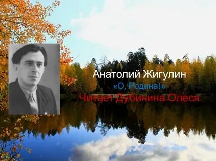 Жигулин стихи о родине