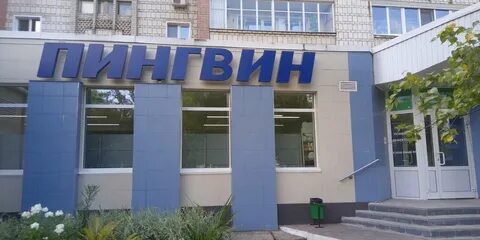 Пингвин киров