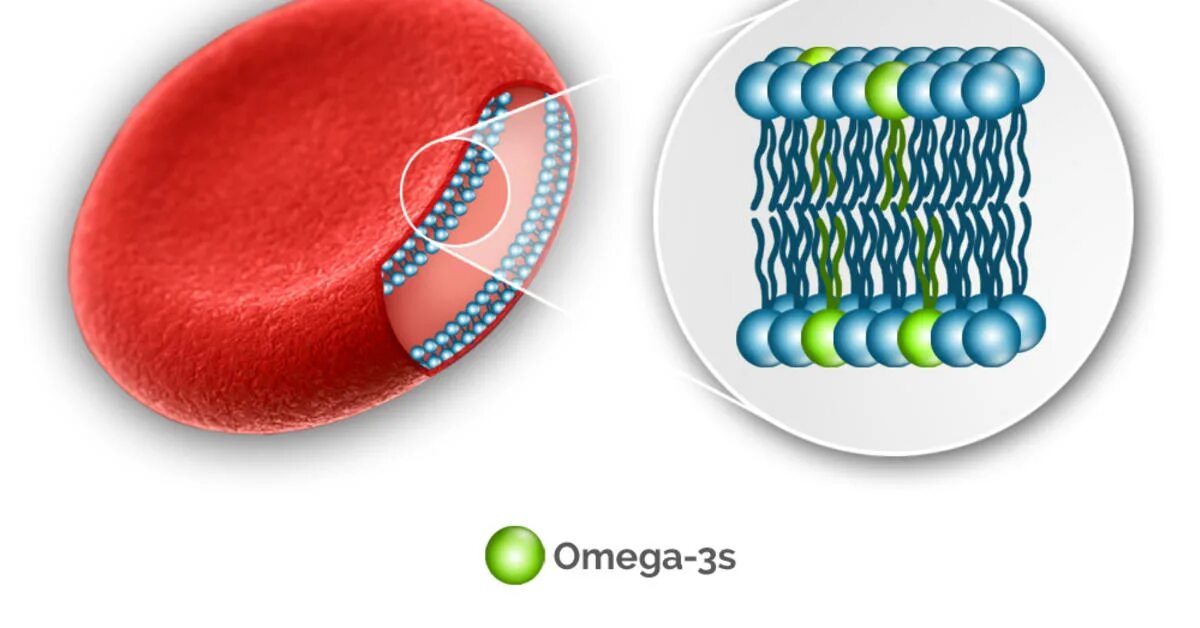 Index 3 size 3. Мембрана клетки и омега 3. omega 3 index. омега 3 индекс.
