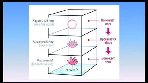 Каузальность