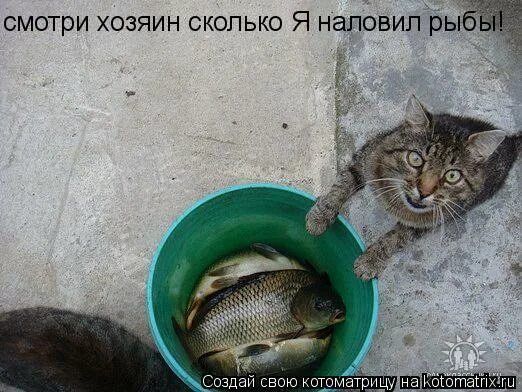 Сколько хозяев было