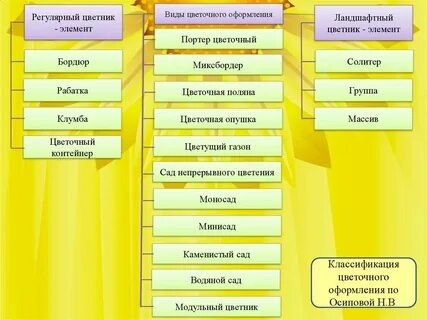 Оформление классификации