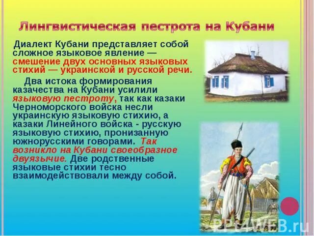 Кубанский диалект. Кубанские диалектизмы. Диалекты Кубани. Лексика кубанских Говоров. Основные этапы формирования кубанского казачества 8 класс