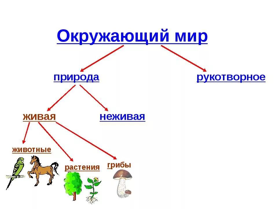 Напиши объекты природы. Живая и неживая природа 1 класс окружающий мир. Живая и неживая природа презентация. Живая неживая природа рукотворный мир. Живая и неживая природа 2 класс окружающий мир.