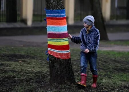 Оделся деревом