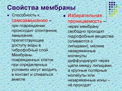Свойства характерные для 1 клетки
