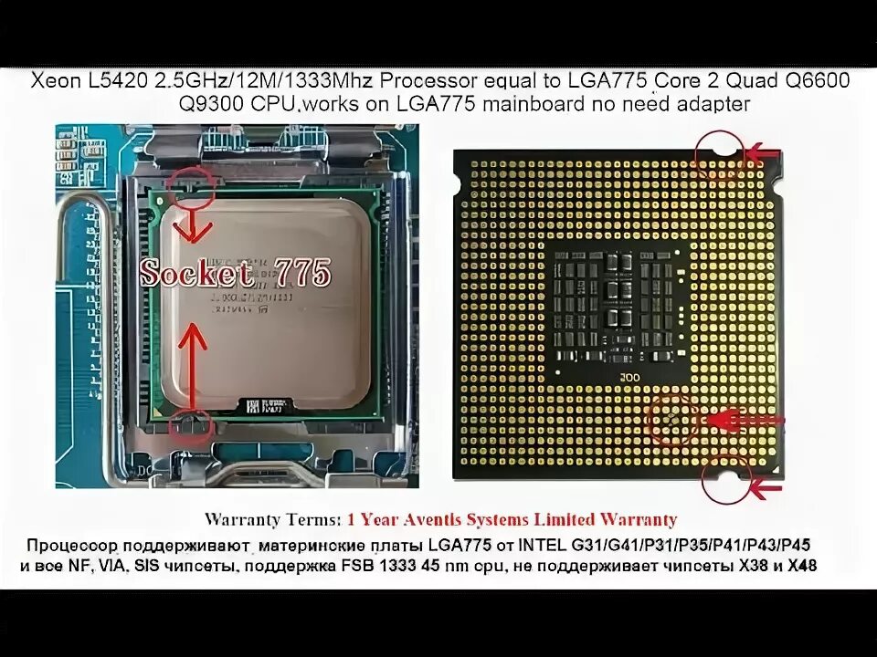 Зион процессор. Xeon l5420 775 сокет. Xeon e5450 перемычка. Xeon 5460 на 775 сокет. Лга 775 процессоры.