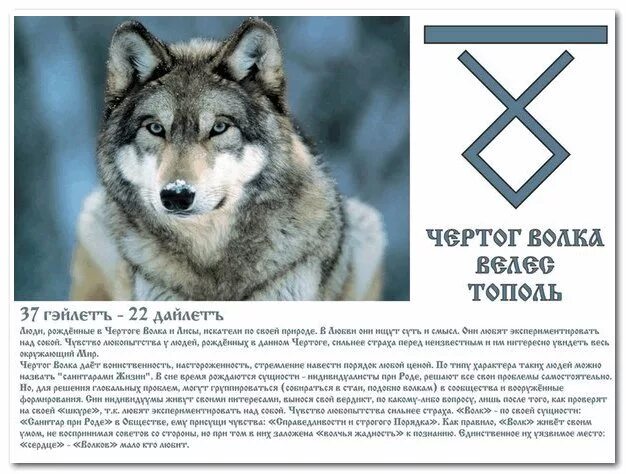 Символ волка значение. Чертог волка покровитель велес. славянские обереги велес в чертоге волка. чертог волка у славян. эпоха волка велеса.