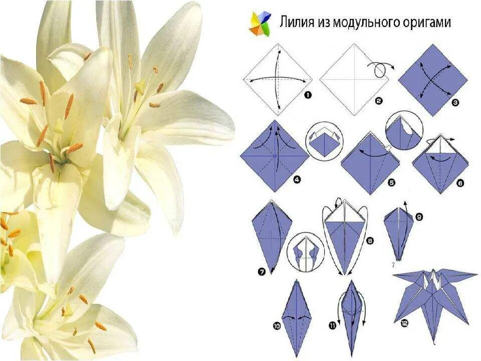 Оригами Лилия кувшинка. Оригами Лилия схема пошагово. Оригами цветов из бумаги. Цветы оригами из бумаги для детей.