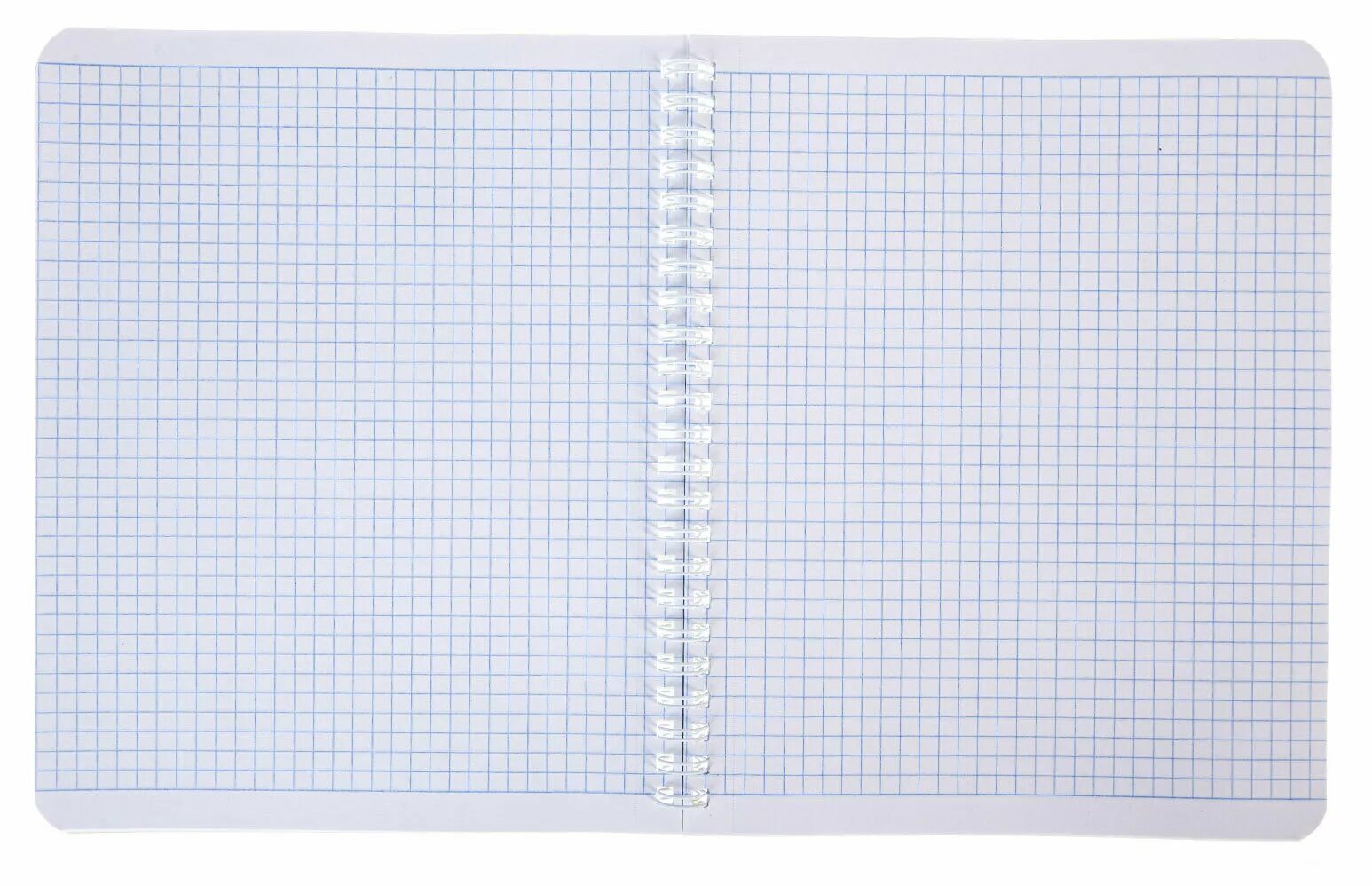 дырка в тетради. , а5, artspace, белый, пленка т/у, эконом. листы в клетку модные. клетка 5мм на 5мм на а4. клетка а5.