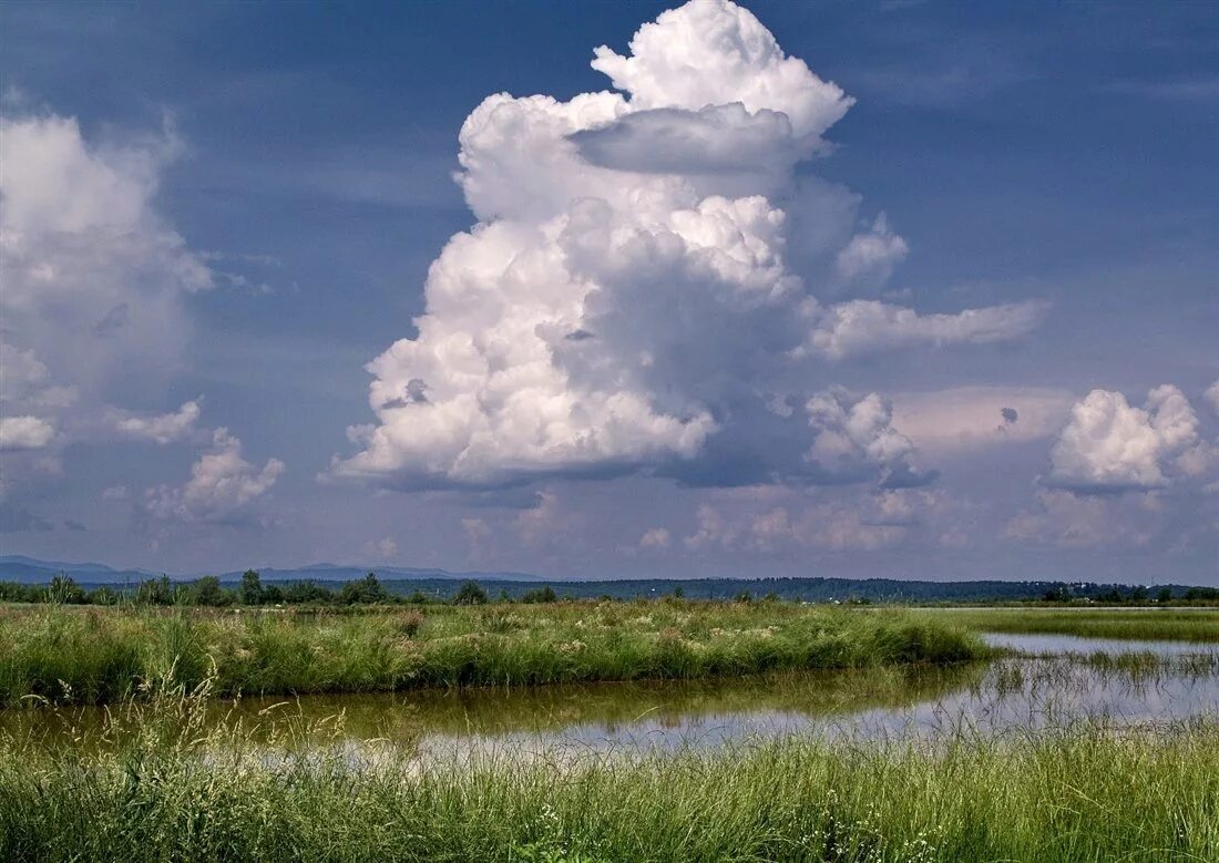 Поле небо. Тень от облаков на поле. Луг и облака. Простор небо. Природа поле.