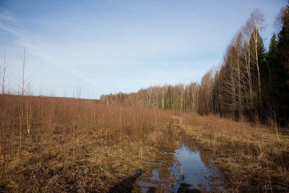 Заросшее поле. Заросшие земли сельхозназначения. Неиспользуемые земли. Заброшенное поле. Заросли мелколесье