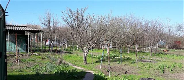 ст ветеран 2