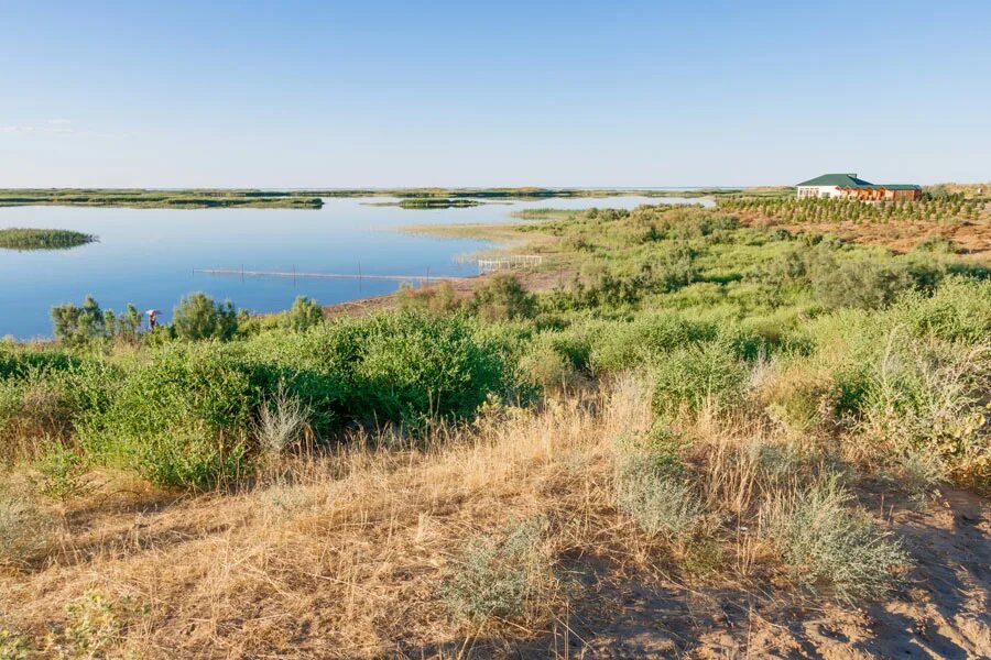 Айдаркуль. Айдаркуль узбекистан. навои айдаркуль. озеро айдаркуль. оз айдаркуль узбекистан.