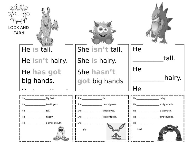 He has got pets. Have got has got упражнения 2 класс Worksheets. Have got has got Worksheets 3 класс. Have has got Worksheets 2 класс. Have got has got правило Worksheets.