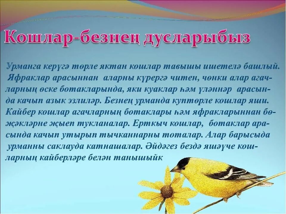 Яз сочинение на татарском. Сочинение на тему кошлар Безнен дусларыбыз на татарском языке. Птицы на татарском языке. Птицы наши друзья сочинение на башкирском языке. Сочинение про птичку.