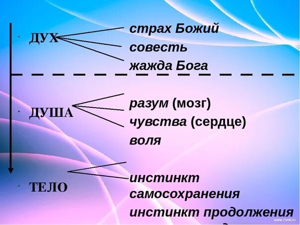 Дух и совесть. Дух, душа и тело. Человек дух душа тело. Дух душа разум. Дух душа тело разум.