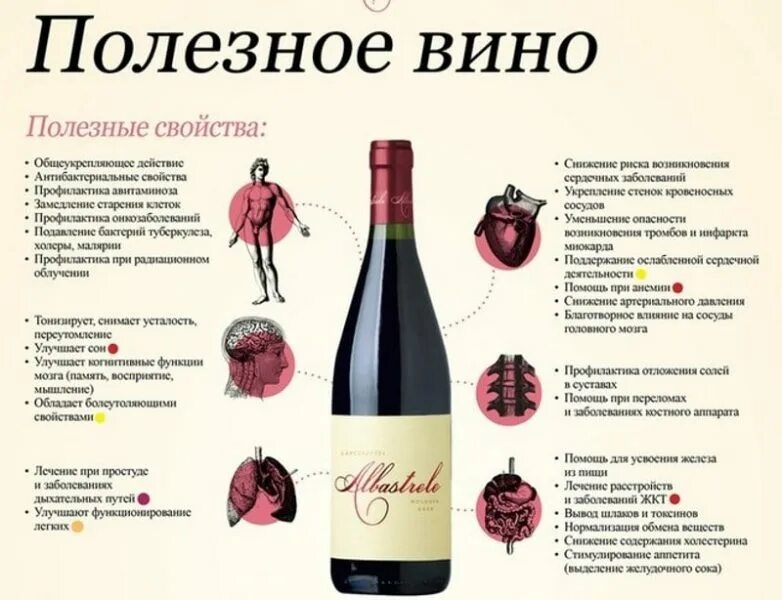 Вино ея купить. Полезные свойства красного сухого вина. Чем полезно вино. Чем полезно красное вино. Полезное красное вино.