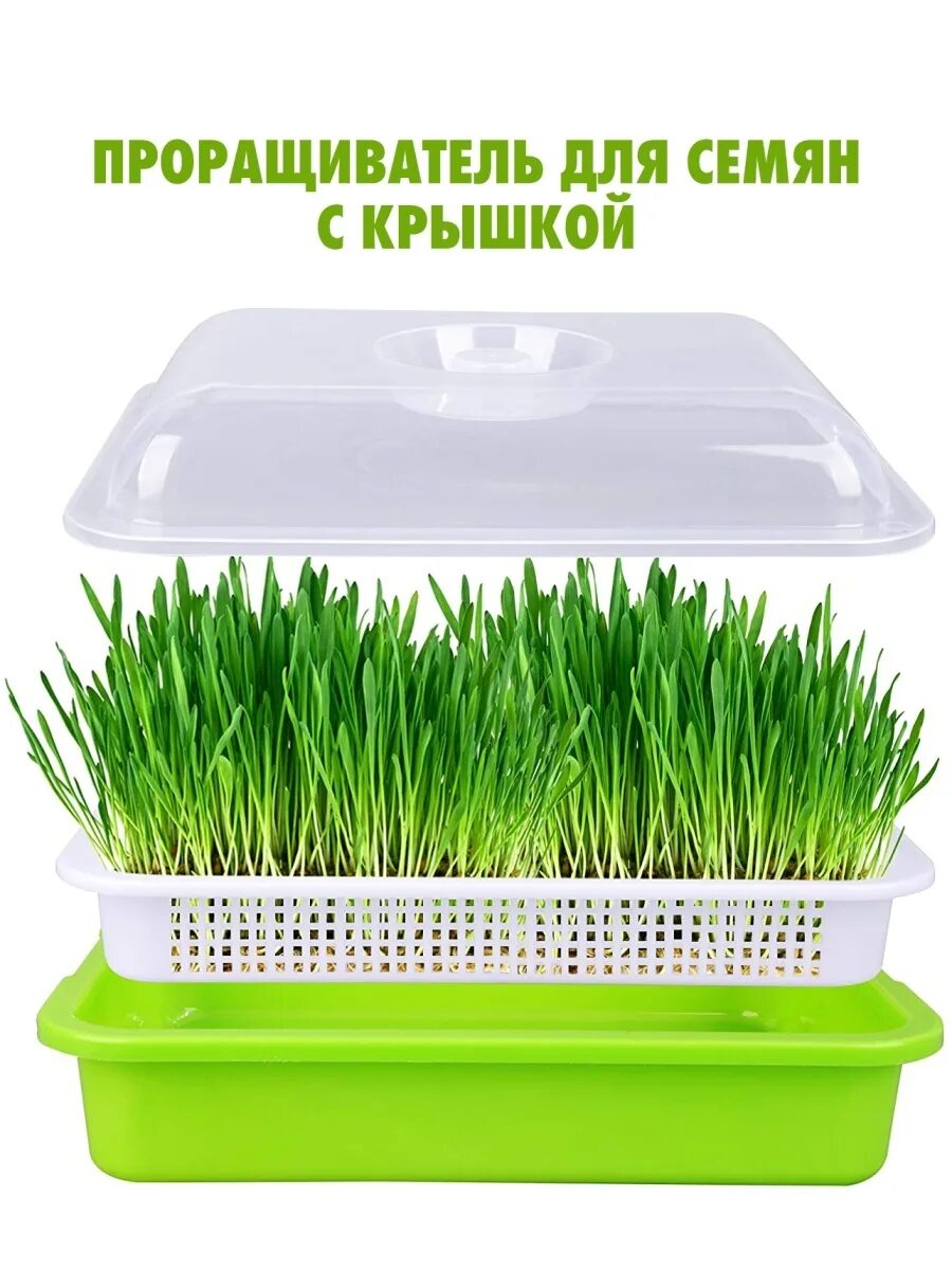 Проращиватель для семян и микрозелени. Проращиватель семян для микрозелени. проращиватель cb-a361. проращиватель для рассады greenart. проращиватель для микрозелени с крышкой.