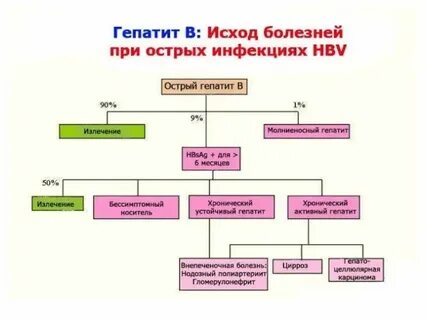 Генотип вируса гепатита b