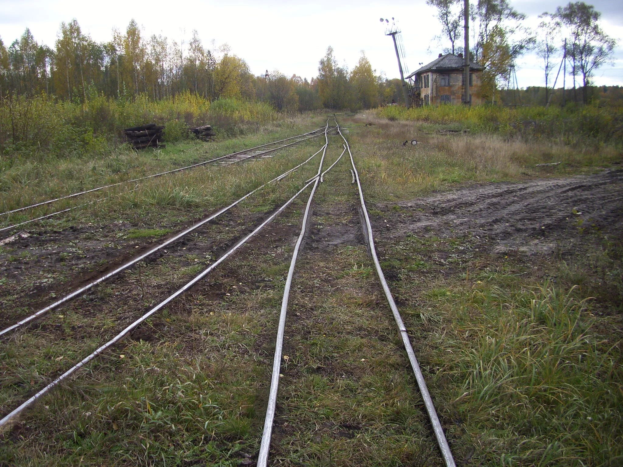 Уйти с линии