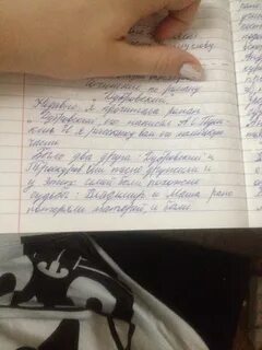 Сочинение шестой класс