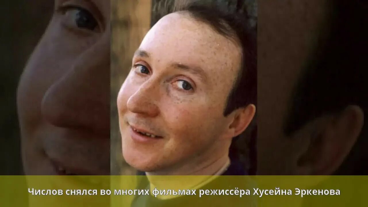 Числов словами