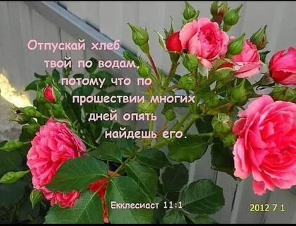 Отпускай хлеб