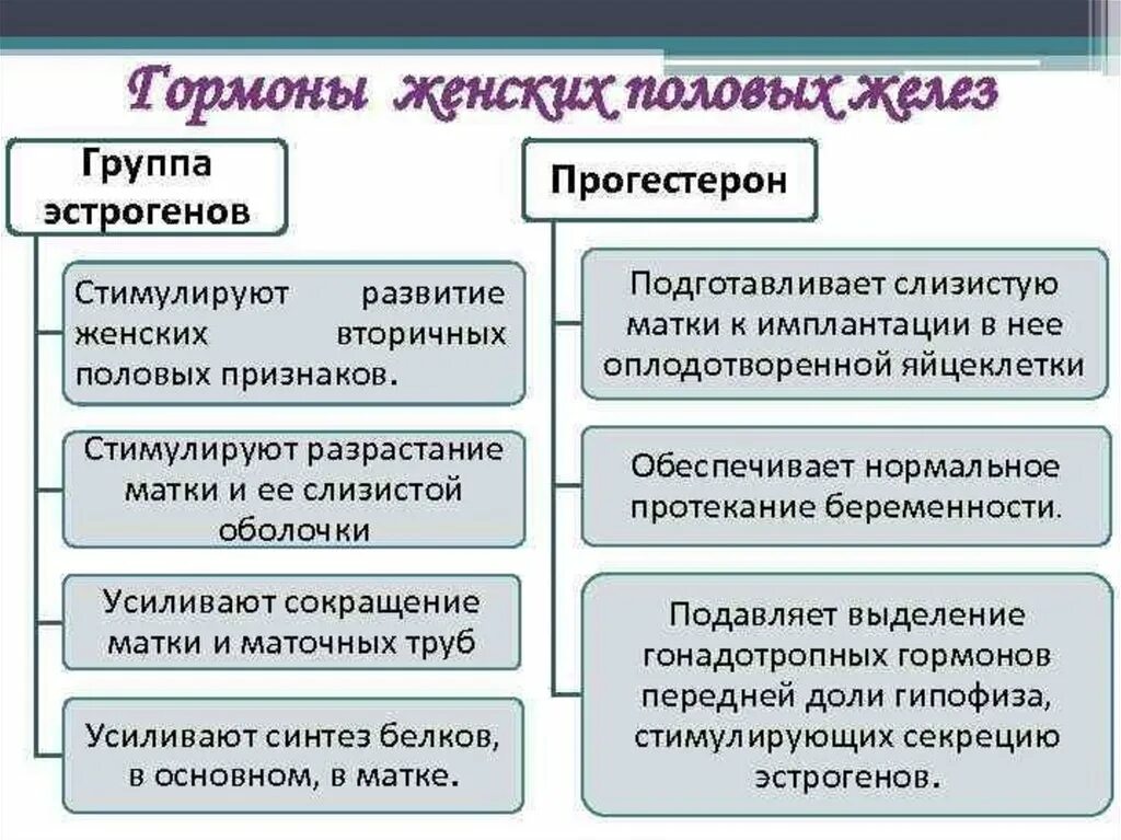 Гормоны женских органов. Половые железы гормоны и функции. Гормоны женских половых желёз. Гормоны половых желез и их функции. Функции женских половых гормонов.