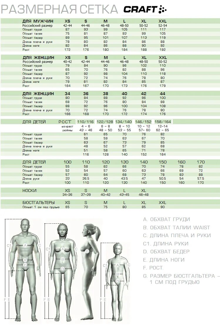 Размерная сетка термобелья Craft. Термобелье Craft таблица размеров. Термобелье Craft Размерная сетка. Таблица размера ноги по росту. Размеры среднестатистического мужчины