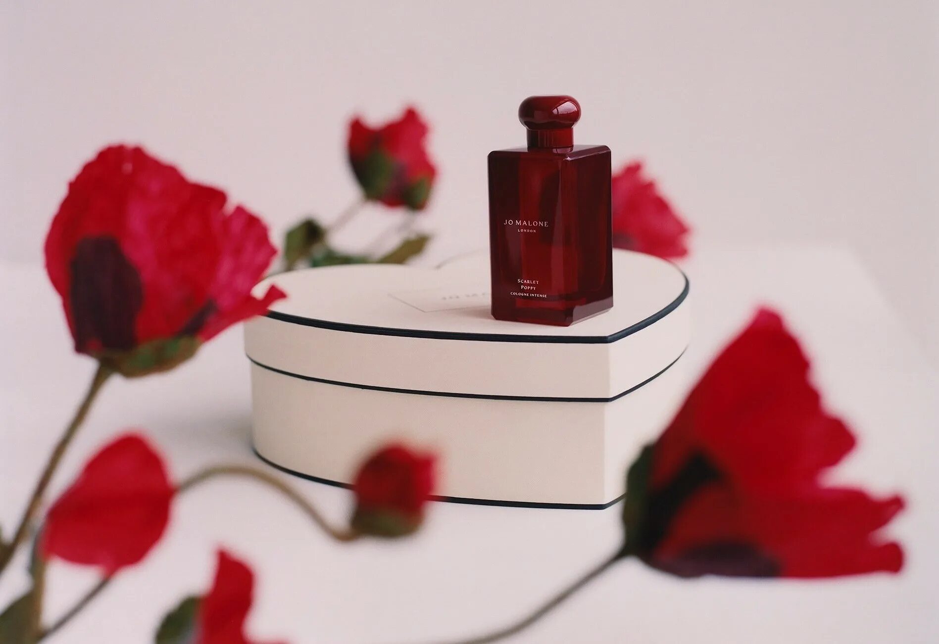 Скарлет поппи. Jo malone scarlet poppy cologne intense. джо малон скарлет поппи. jo malone духи scarlett poppy. jo malone духи красный флакон.