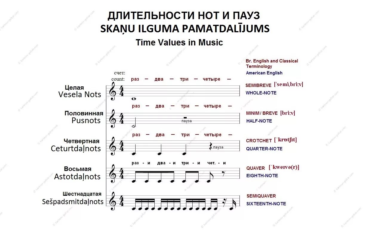 Длительности нот на нотном стане. Длительности ритм размер паузы сольфеджио. Длительности нот длительности пауз. Длительность нот сольфеджио 2 класс.