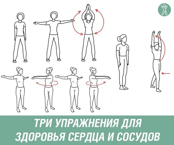 Лечебная физкультура при варикозном расширении вен. Физические упражнения для сосудов. Гимнастика при тромбозе глубоких вен нижних конечностей. Упражнения для укрепления сосудов головного мозга и шеи. Упражнения для укрепления сосудов шеи.