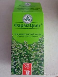 Почечный с пол полой