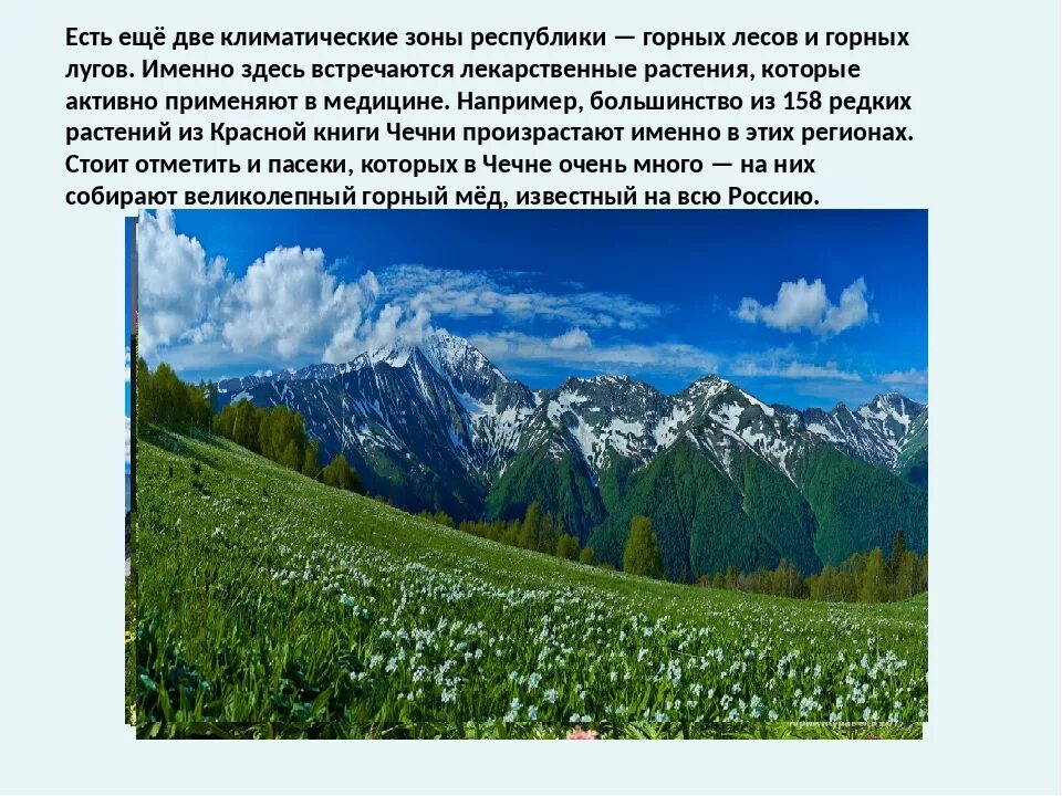 Окружающему миру разнообразие природы родного края. Разнообразие природы Дагестана 3 класс окружающий мир проект. Окружающий мир проект разнообразие природы родного края. Проект разнообразие природы родного края 3 класс. Проект природа родного края.