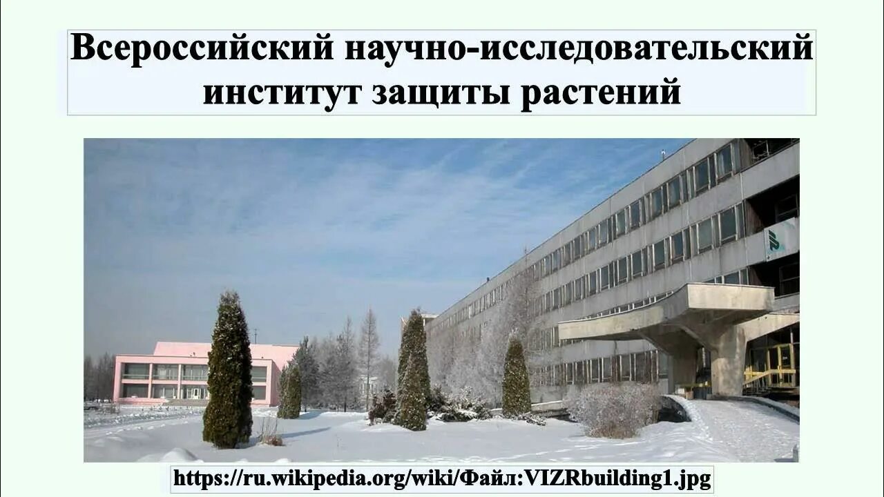 Нии тм логотип. Векшинского. Институт иммунологии. Центральный научно-исследовательский институт машиностроения. Цниимаш.
