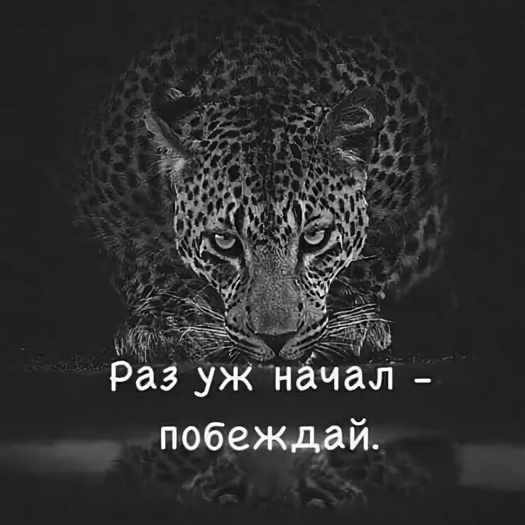 Раз уже начал побеждай обои. Раз уж начал побеждай картинки. Раз уж начал побеждай обои. Раз уж начал побеждай обои. Раз уж начал побеждай обои.