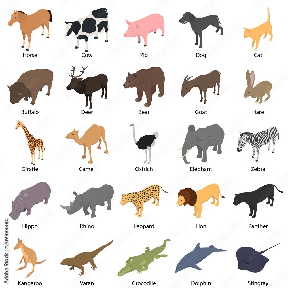 Игра в животных у подростков как называется. Animals definitions. выберите всех животных с аутостилией.. трешбокс с животными. wild animal icon.