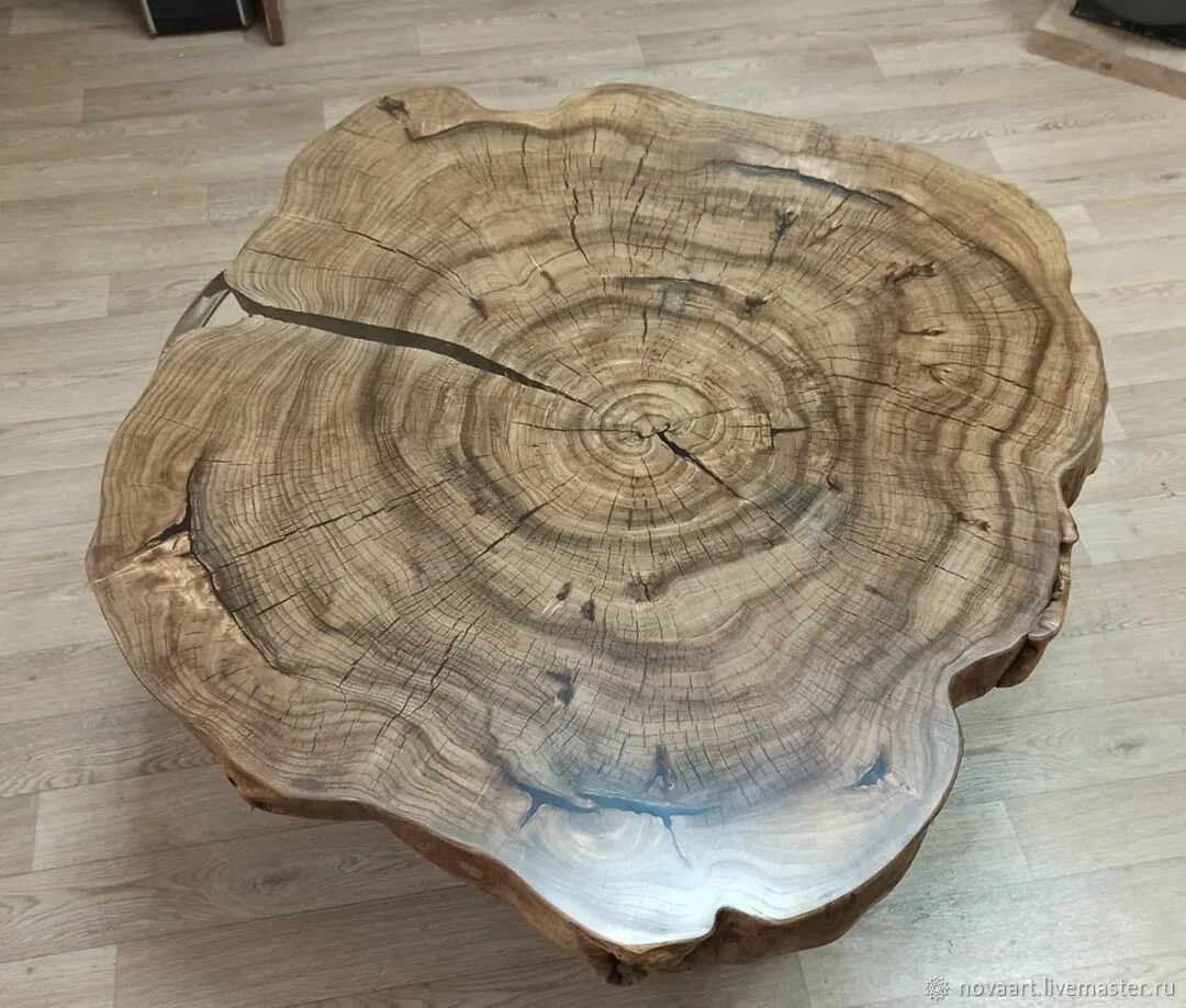 Спил на поляне. Спил карагача. Круглый спил дерева карагач. Карагач спил. Карагач спил.