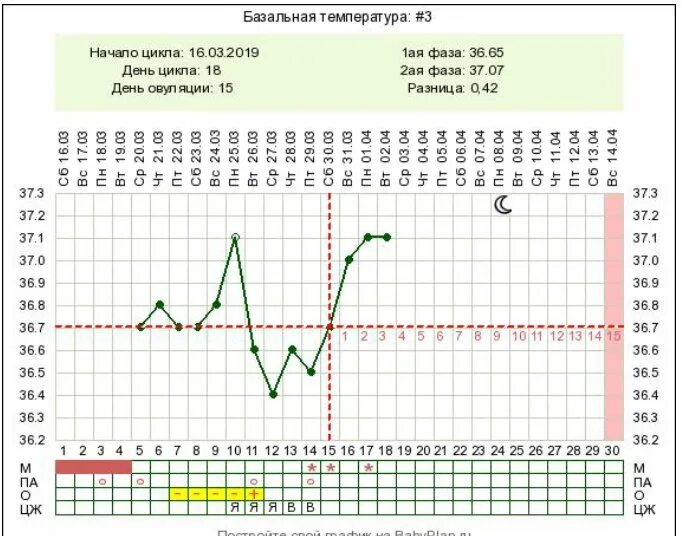 График базальной температуры с поздней овуляцией. Базальная температура на 16 день цикла. БТ по дням цикла таблица. Базальная температура по дням цикла таблица беременной. На какой день цикла бывает поздняя овуляция