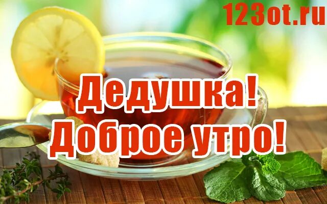Доброе утро дедушка. Доброе утро дедушка