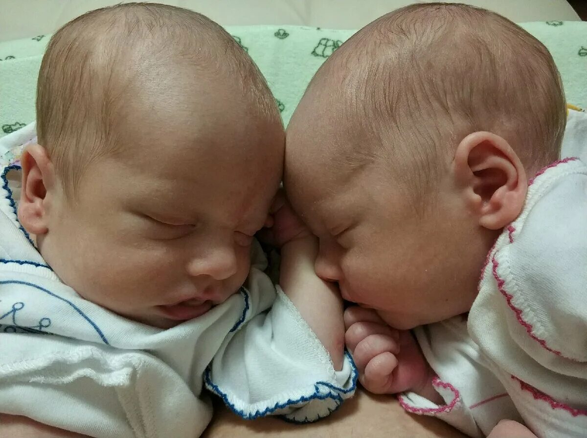 Фотосессия двойняшек по месяцам. 9 месяцев близнецам. Двойняшки королевская двойня. Близнецы тройняшки. Близнецы дети.
