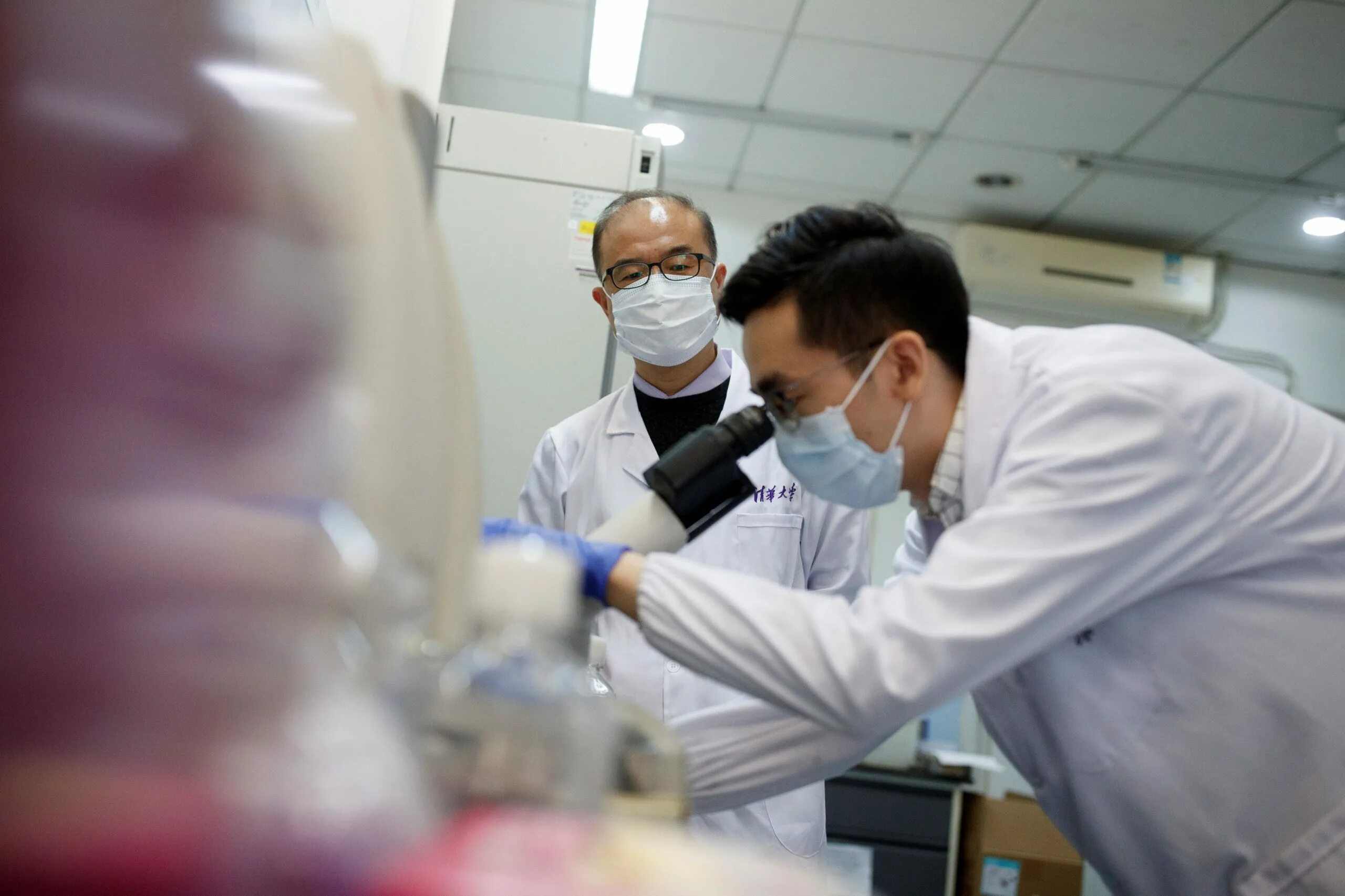 Scientist in china have discovered an unusual
