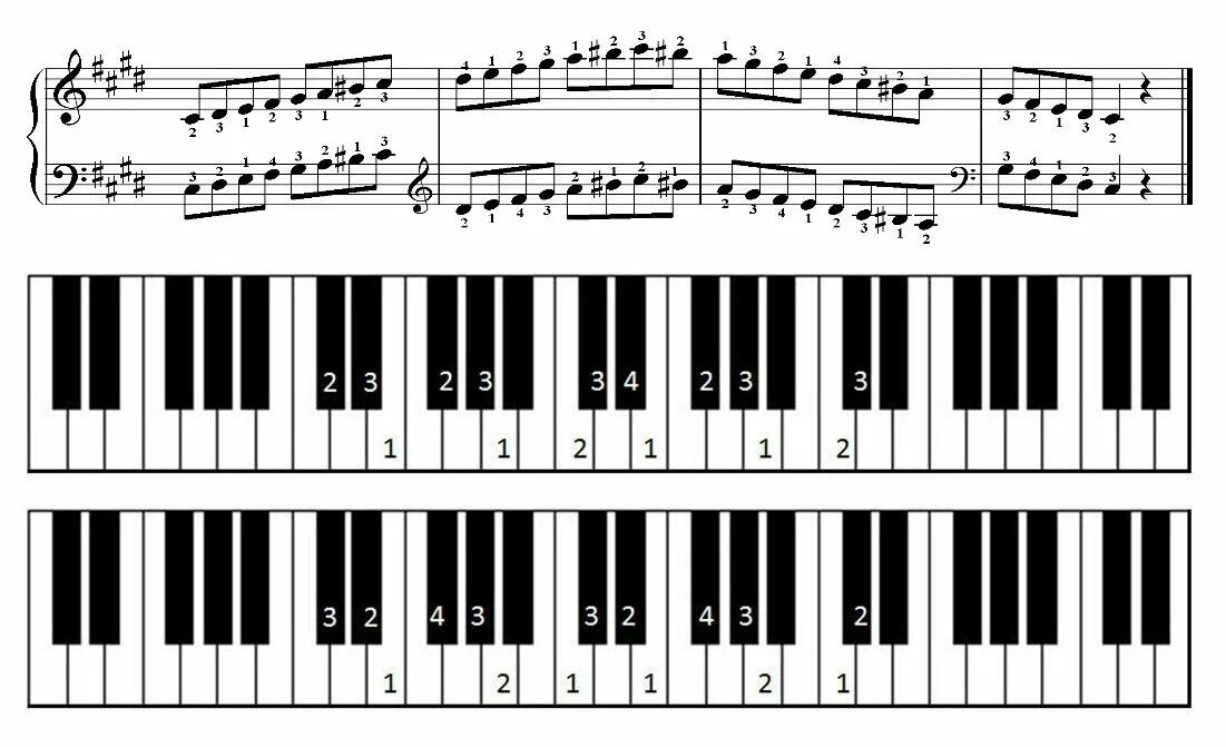 Быстро играть ноты. Гамма фа диез минор на пианино. Гамма Ре диез минор. До диез минор на клавиатуре пианино. Гамма до диез минор клавиши.