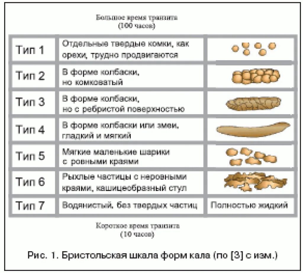 Сколько кала в норме