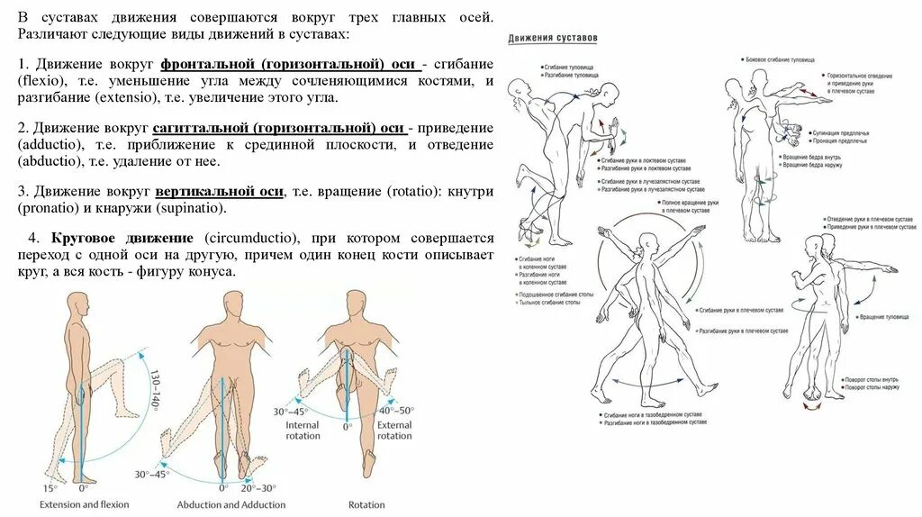 Названия движений человека. Сгибание разгибание отведение приведение. Виды движений в суставах анатомия. Сгибание разгибание отведение приведение в плечевом суставе. Движение суставов вокруг фронтальной оси.