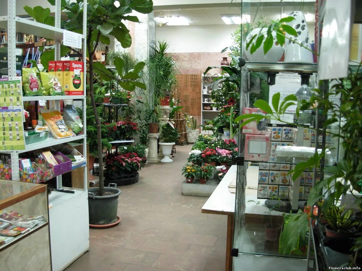 Ботаник цветочный магазин
